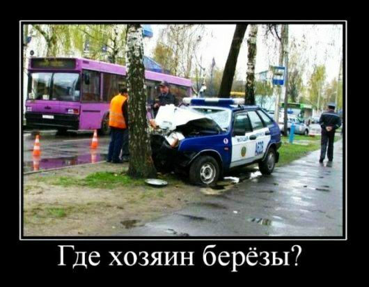 Где хозяин берёзы