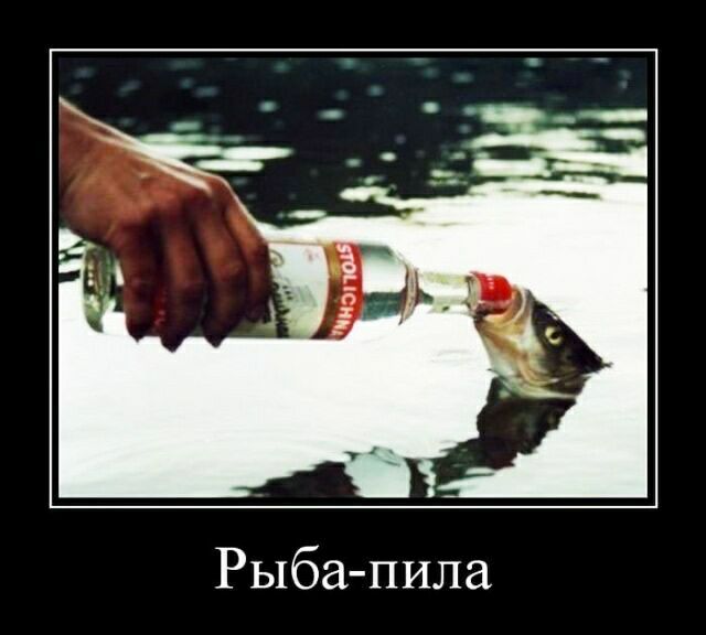 Рыба пила