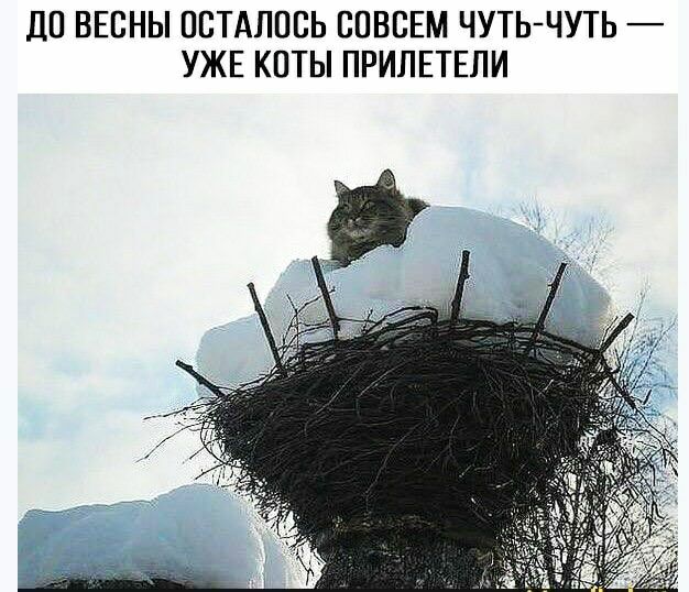 ДП ВЕСНЫ ССТАППСЬ СОВСЕМ ЧУТЬ ЧУТЬ УЖЕ КПТЫ ПРИПЕТЕЛИ