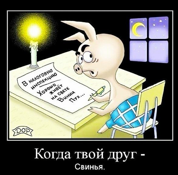 Когда твой друг Свинья