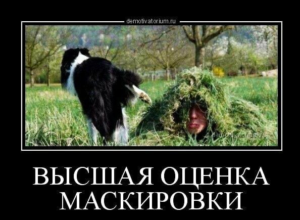 пвтппчашпит ВЫСШАЯ ОЦЕН1СА МАСКИРОВКИ