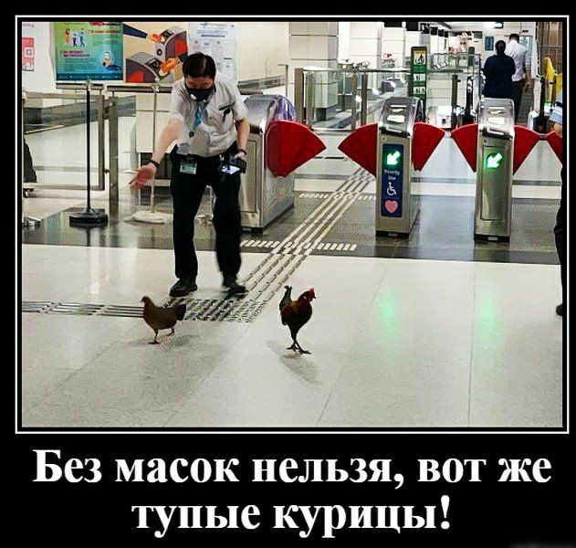 Без масок нельзя вот же тупые курицы