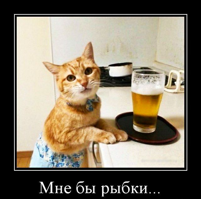 Мне бы рыбки