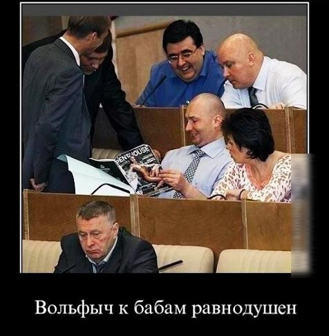 Вольфыч к бабам равнодушен