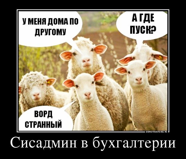 мънп дом под другому СисаДМИН в бухгалтерии