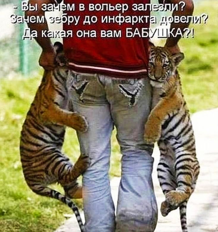 в вольер за ру до инфаркт я она вам БАБ М з к Ёь ем 3 З