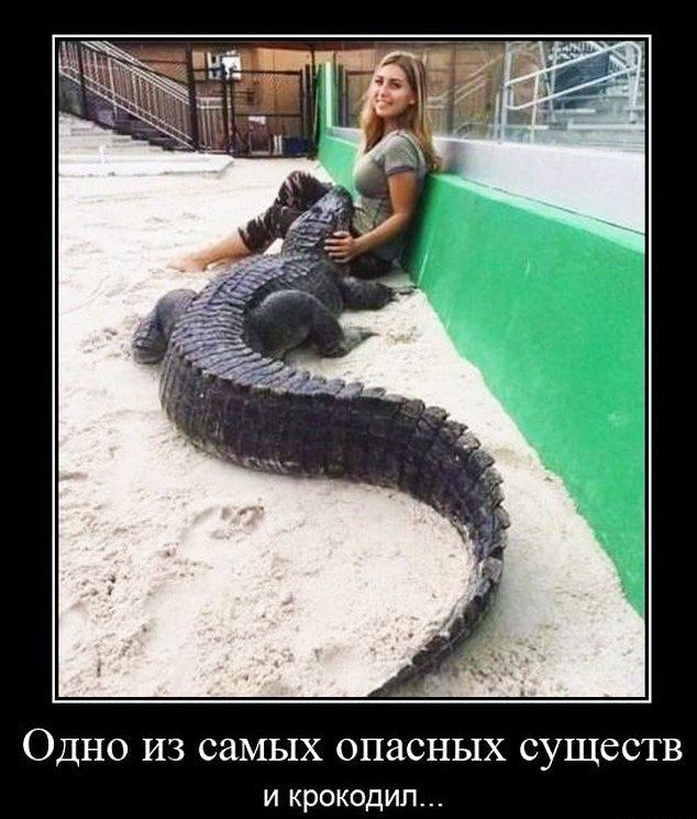 ОДНО ИЗ СЗМЫХ ОПЗСНЫХ СУЩССТВ И КРОКОДИП