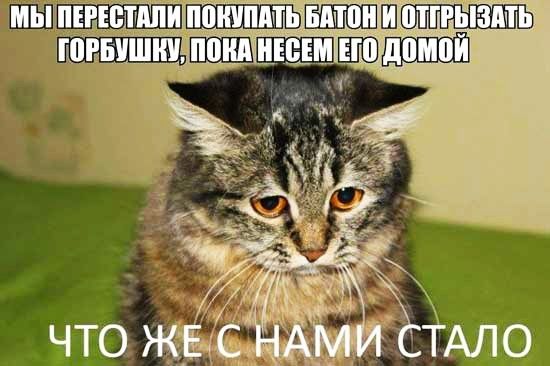 ТИЕЁТИЮ ЖЪЩШ Ш ПТТРЫЗАТЬ