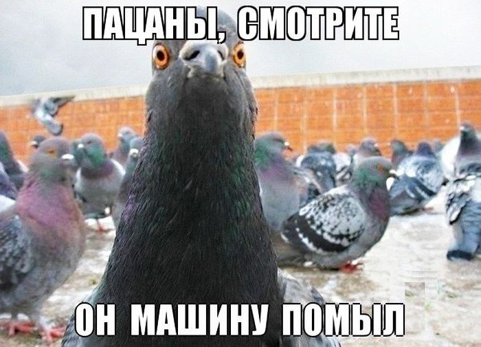 Йон машину помы