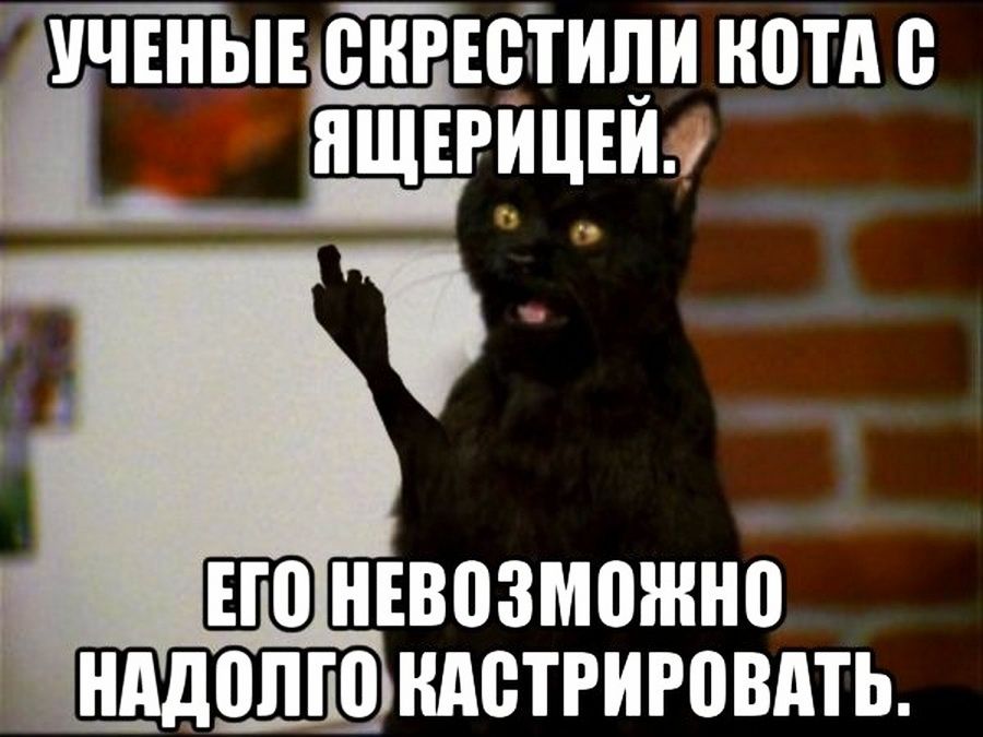 ичвныв еТгЕеТтипи нотд і 1ГнТЁпщЕи ШШ НЕВВЗМПЖНП ШП ШШТРИРПВАТЬ