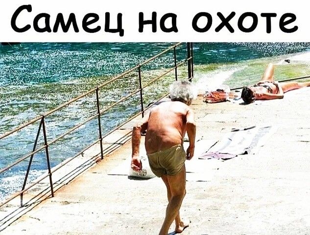 Самец на охоте