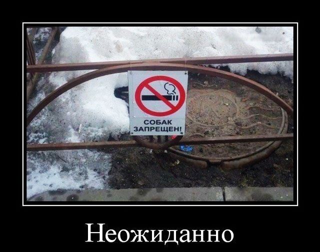 Неожиданно