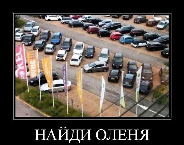 _ _ гв5 НАЙДИ ОЛЕНЯ