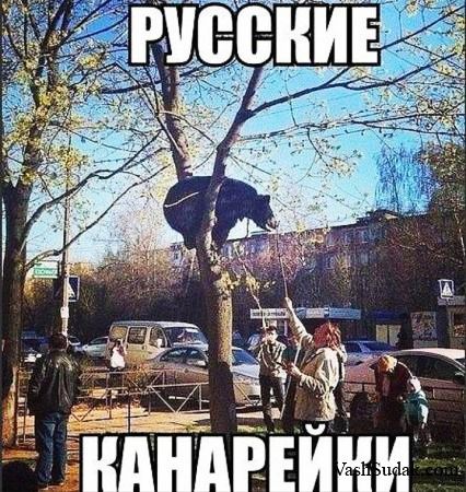 Ндндгг.ини.