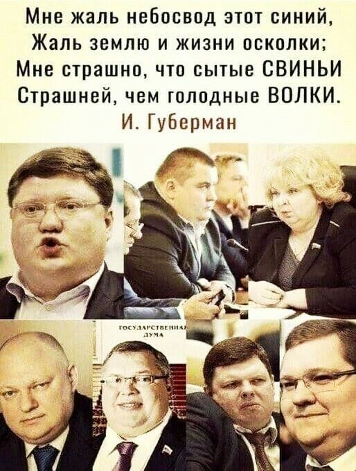Мне жаль небосвод этот синий Жаль землю и жизни осколки Мне страшно что сытые ВВИНЬИ Страшней чем голодные ВОЛКИ И Губерман