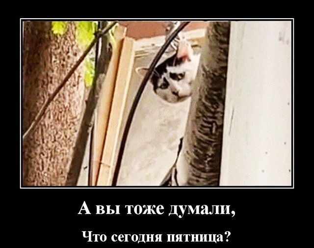 А вы тоже думали Что сегодня пятница