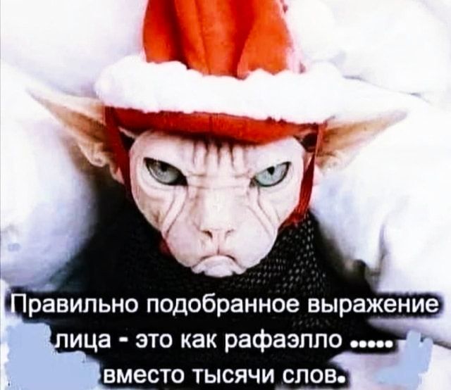 ВМВСТО ТЫСЯЧИ СЛОВ
