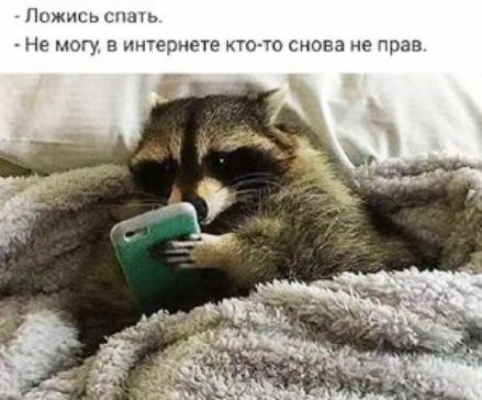 Пожясь сить Не могу в интернете кто то снова не прав