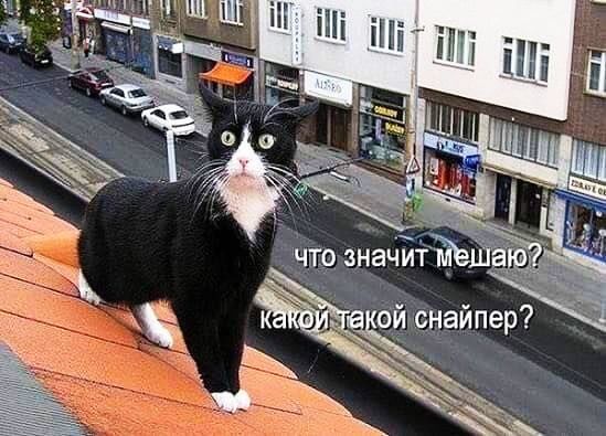 'ой снайпер? Ы :1 г 3