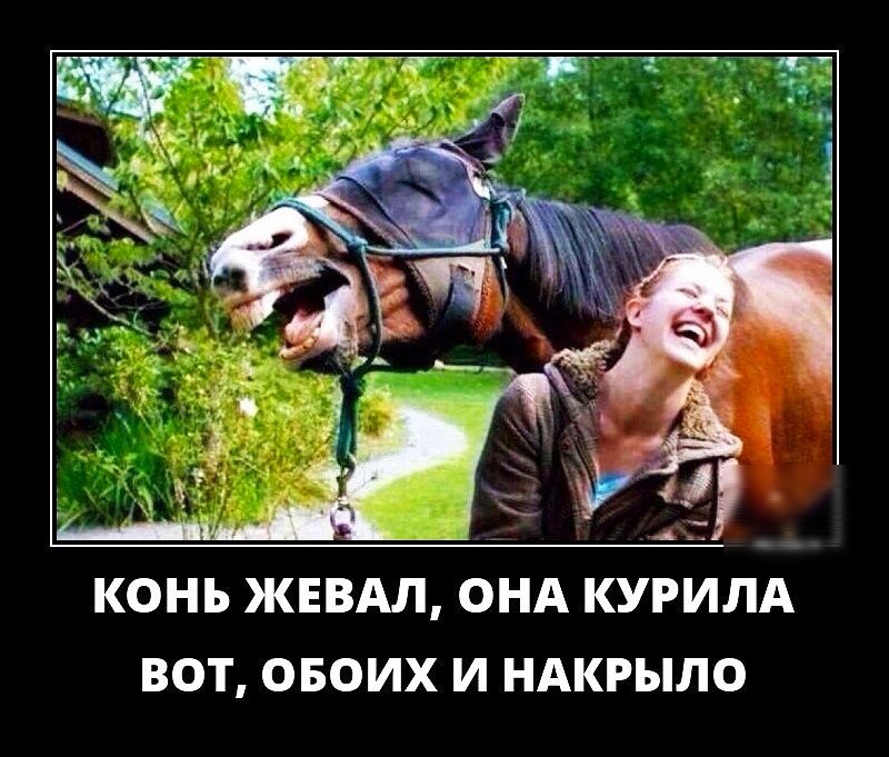 А КОНЪ ЖЕВАЛ ОНА КУРИЛА ВОТ ОБОИХ И НАКРЫЛО