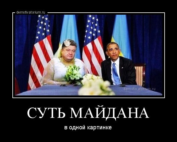 СУТЬ МАЙДАНА в одной картинке