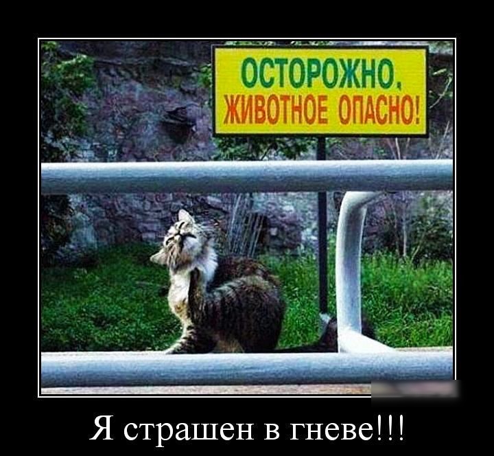 трожно Я страшен в гневе