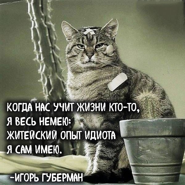 КОГДА НМ УЧИТ ЖИЗНИ КТО ТО я ввсь нвмвю ЖИТЕЙСКИИ ОПЫТ ИдИОТд