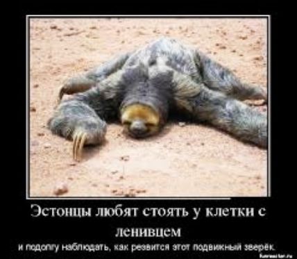 стщшы любят стплть у клсткм шнивцсч тд шт им мдм Щи