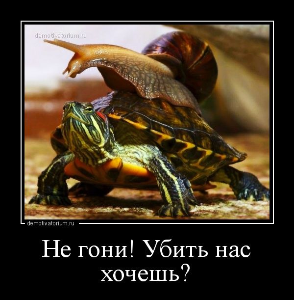 Не гони Убить нас хочешь