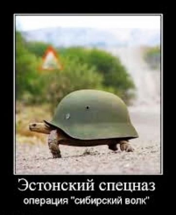 Эстонский спецназ операция шбюский вопъё