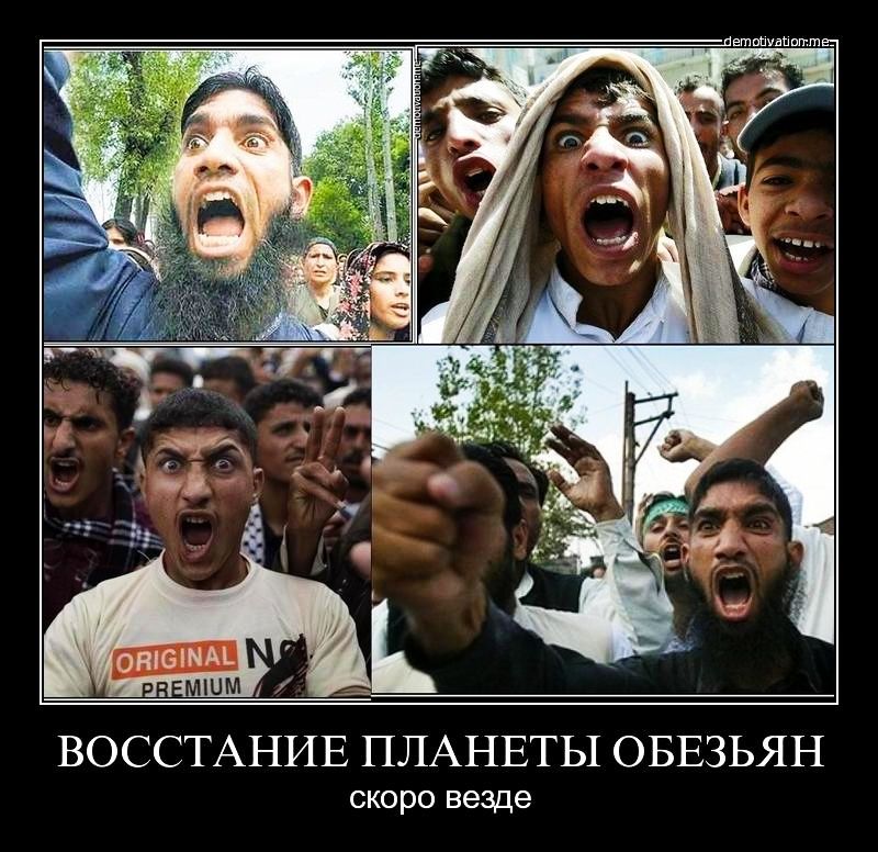 СКОРО везде