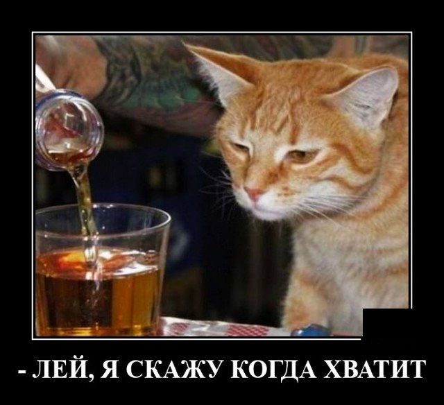 _ гг ЛЕЙ Я СКАЖУ КОГДА ХВАТИТ