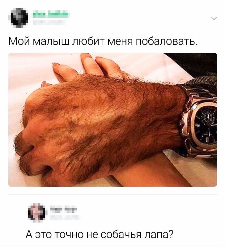 у Мой малыш любит меня побаловать Ё А это точно не собачья лапа