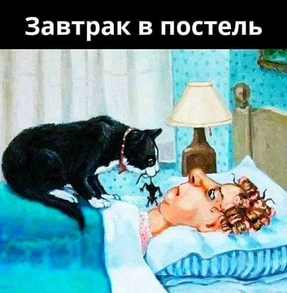 Завтрак в постель