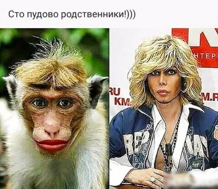 Сто пудово родственники