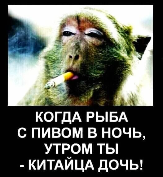 КОГДА РЫБА С ПИВОМ В НОЧЬ УТР_ОМ ТЫ КИТАИЦА ДОЧЬ