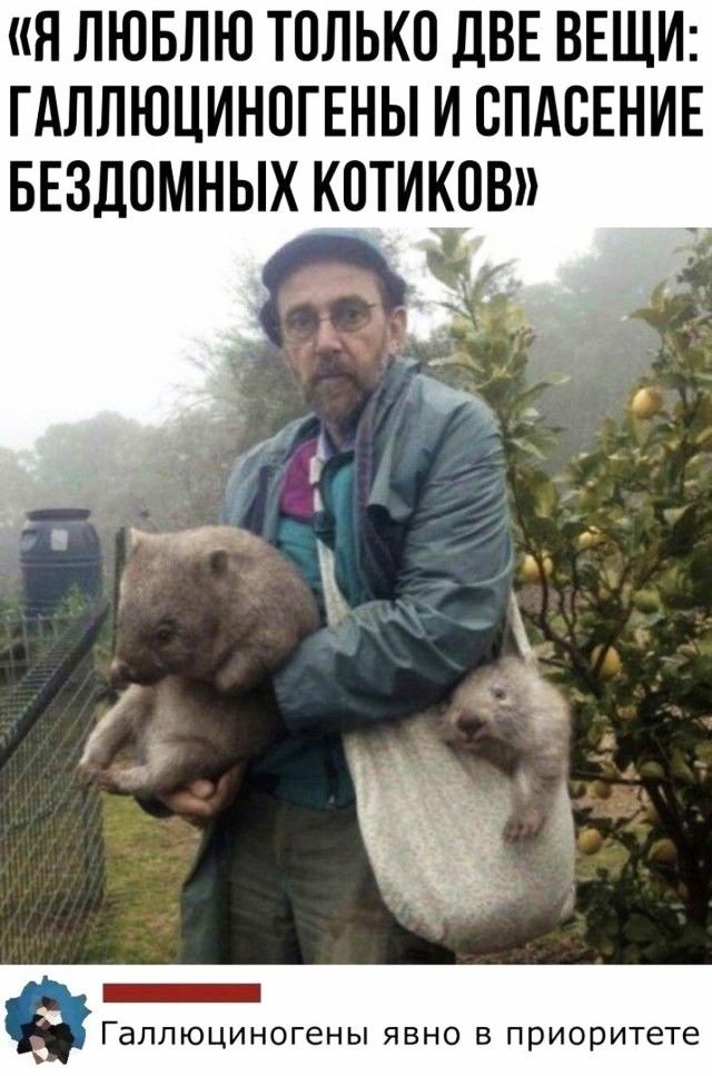 Я ЛЮБЛЮ ТОЛЬКО ДВЕ ВЕЩИ ГАЛЛЮЦИНПГЕНЫ И СПАСЕНИЕ БЕЗДПМНЫХ КПТИКПВ _ 3 ГаЛЛЮЦИНОГЕНЫ ЯВНО В приоритете