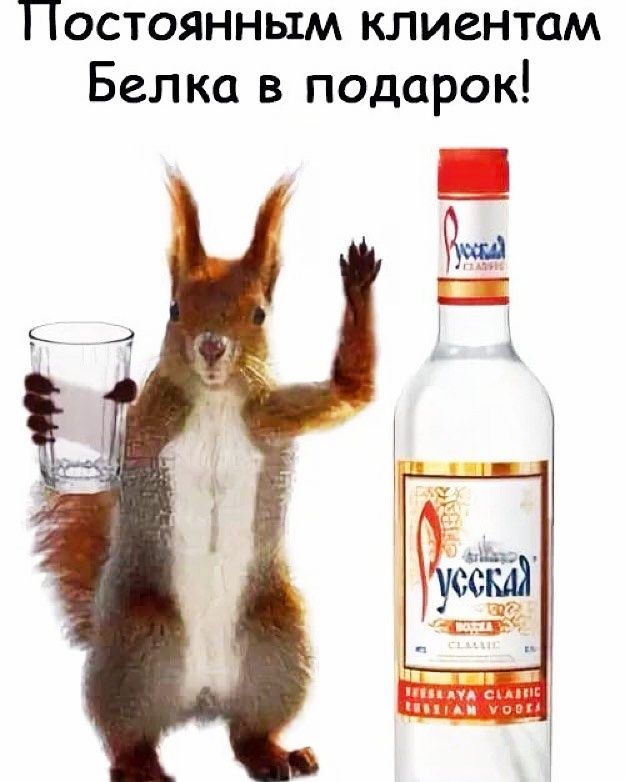 Постоянным клиентам Белка в подарок