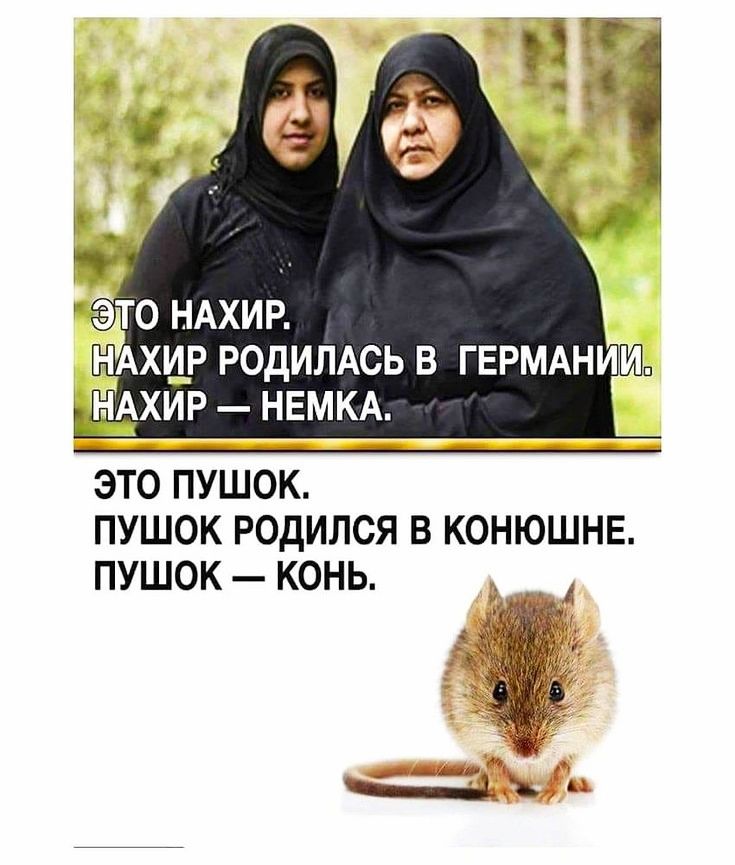 то НАХИР НАХЦР РОДИЛАСЬ В ГЕРМАНИИ НАХИР НЕМКА ЭТО ПУШОК ПУШОК РОДИЛСЯ В КОНЮШНЕ ПУШОК КОНЬ