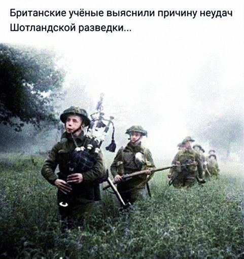 Британские учёные выяснили причину неудач Шотландской разведки