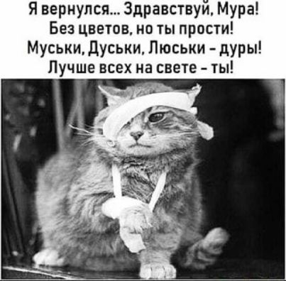 Я вернулся Здравствуи Мура Без цветов не ты прости Муськи Дуськи Пюськи дУРЫ Лучше всех на свете ты