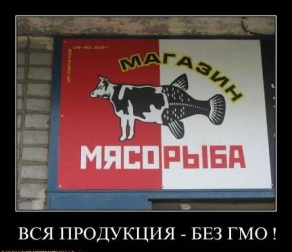 ВСЯ ПРОДУКЦИЯ БЕЗ ГМО