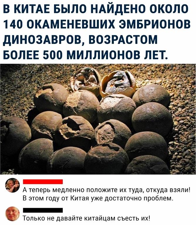 В КИТАЕ БЫЛО НАЙДЕНО ОКОЛО 140 ОКАМЕНЕВШИХ ЭМБРИОНОВ дИНОЗАВРОВ ВОЗРАСТОМ БОЛЕЕ 500 МИЛЛИОНОВ ЛЕТ А теперь медленно положите их туда откуда взяли В этом году от Китая уже достаточно проблем _ Только не давайте китайцам съесть их