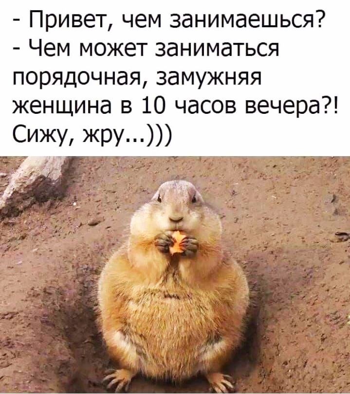 Привет чем занимаешься Чем может заниматься порядочная замужняя женщина в 10 часов вечера Сижу жру я пттг