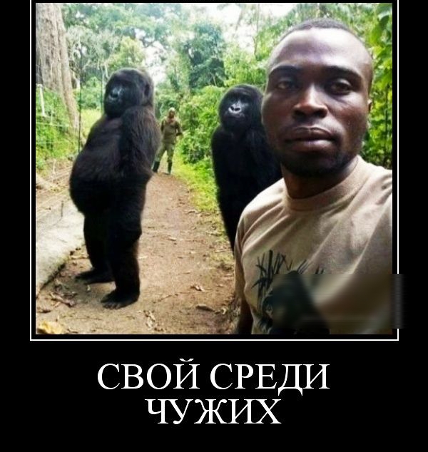 СВОЙ СРЕДИ ЧУЖИХ