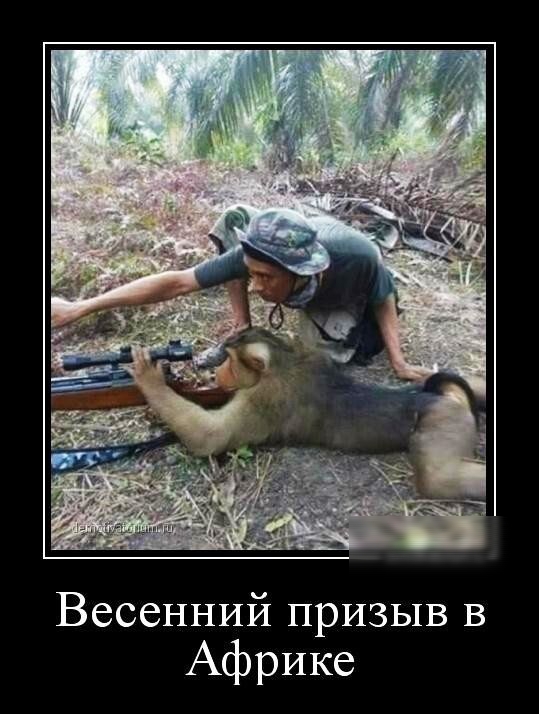 Весенний призыв в Африке
