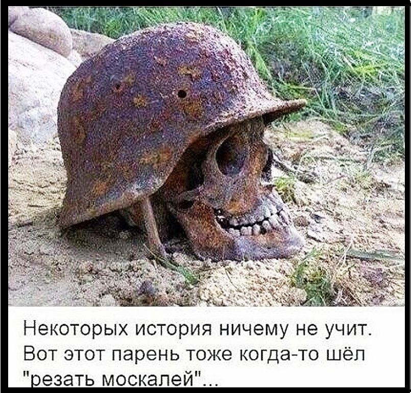 Некоторых история ничему не учит Вот этот парень тоже когдато шёл езать москалей