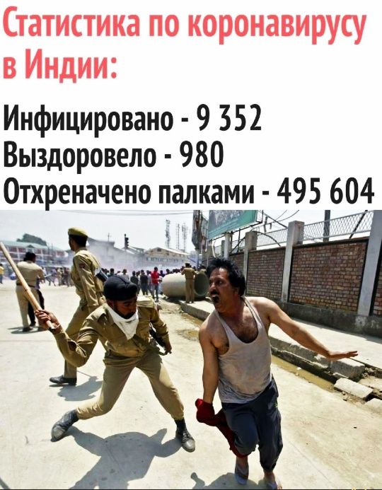 Инфицировано 9 352 Выздоровело 980 Отхреначено палками 495 604