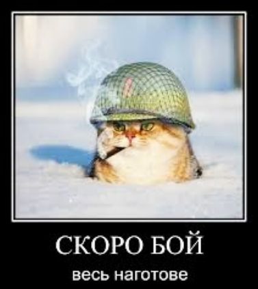 скоро вой весь наготове