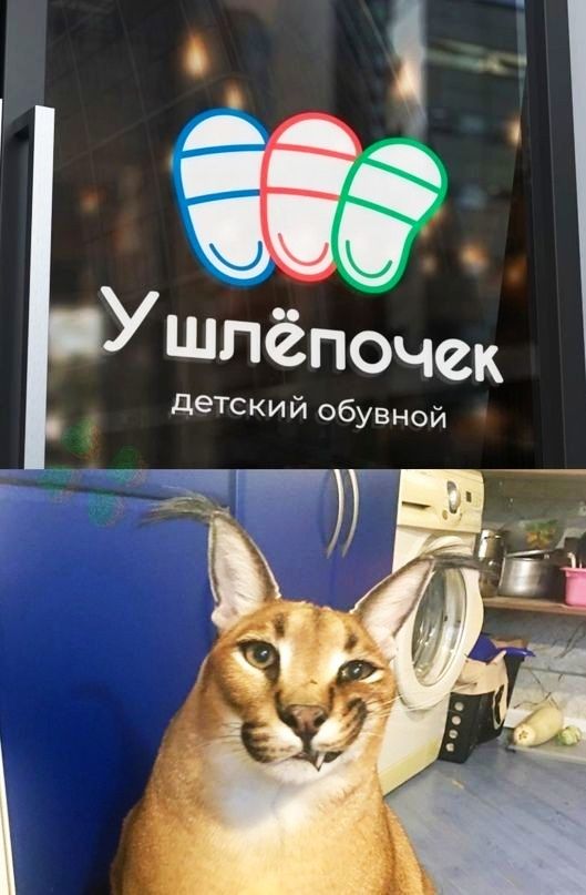 Ушпёпочск детский обузной